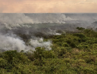 Pantanal poderá ter crise hídrica histórica em 2024, aponta estudo