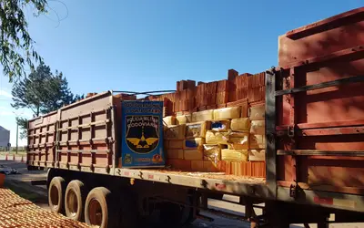 Mais de 5 toneladas de maconha é apreendida por equipe da PMR